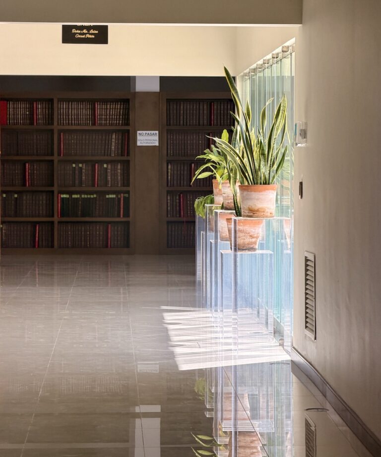 Imagen 27 10 25 a las 8.32 a.m 768x922